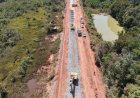 IBAMA AUTORIZA OBRAS DE TRÊS PONTES NO TRECHO DO MEIO DA BR-319 NO AMAZONAS