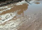 MORADORES DENUNCIAM ABANDONO NO RAMAL DO FERRO QUENTE E COBRAM AÇÃO DA PREFEITURA EM AUTAZES